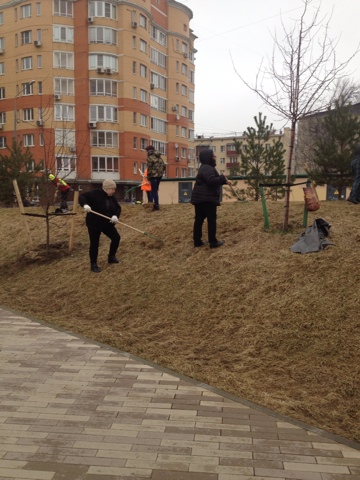 Субботник