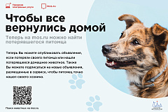 Теперь на mos.ru можно найти потерявшегося питомца
